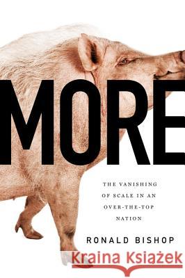 More : The Vanishing of Scale in an Over-the-Top Nation Ronald Bishop 9781602582583 Baylor University Press - książka