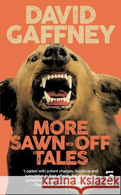 More Sawn-Off Tales David Gaffney 9781784630997 Salt Publishing - książka