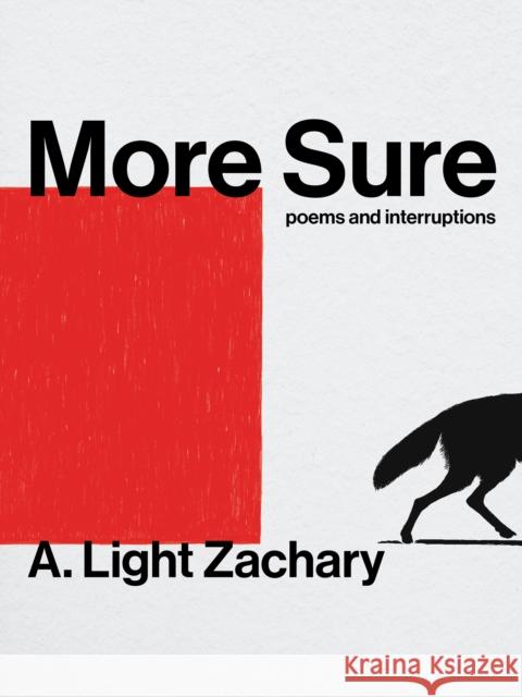 More Sure A. Light Zachary 9781551529172 Arsenal Pulp Press - książka