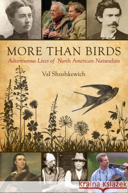 More Than Birds: Adventurous Lives of North American Naturalists Val Shushkewich 9781459705586 Natural Heritage Books - książka