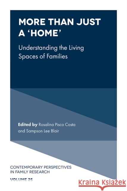 More than just a ‘Home’: Understanding the Living Spaces of Families  9781837976522 Emerald Publishing Limited - książka