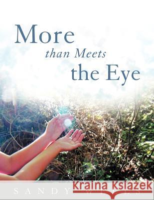 More than Meets the Eye Wells, Sandy 9781452546940 Balboa Press - książka