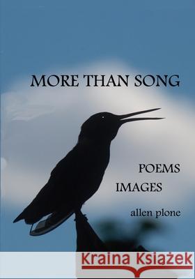 More Than Song: Poems & Images Allen Plone 9781075450037 Independently Published - książka