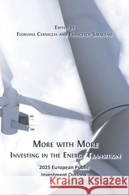 More with More: Investing in the Energy Transition Floriana Cerniglia Francesco Saraceno 9781805117445 Open Book Publishers - książka