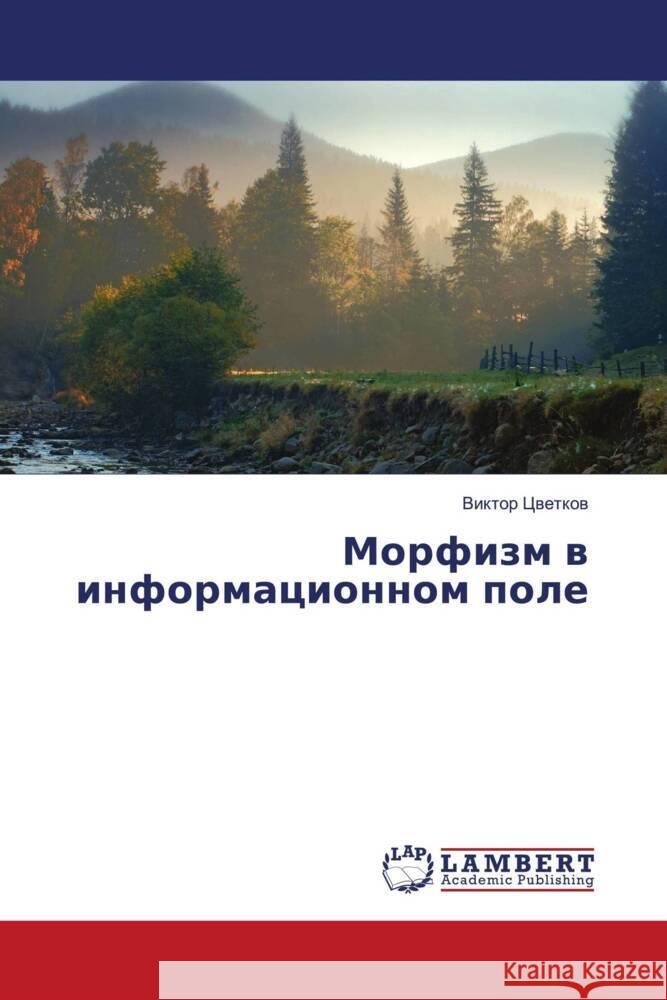 Morfizm w informacionnom pole Cwetkow, Viktor 9786204204123 LAP Lambert Academic Publishing - książka