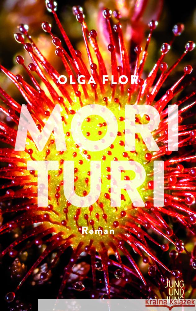 Morituri Flor, Olga 9783990272466 Jung und Jung - książka