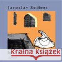 Morový sloup Kateřina Hosnedlová 9788072872824 Maťa - książka