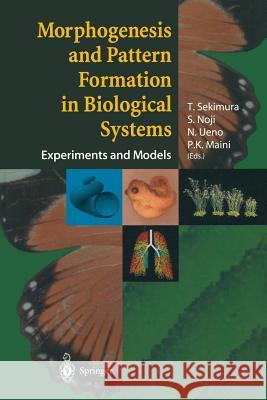 Morphogenesis and Pattern Formation in Biological Systems: Experiments and Models Sekimura, T. 9784431659600 Springer - książka