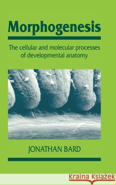 Morphogenesis: Cellular & Molecular Processes of Developmental Anatomy Bard, Jonathan 9780521361965 CAMBRIDGE UNIVERSITY PRESS - książka