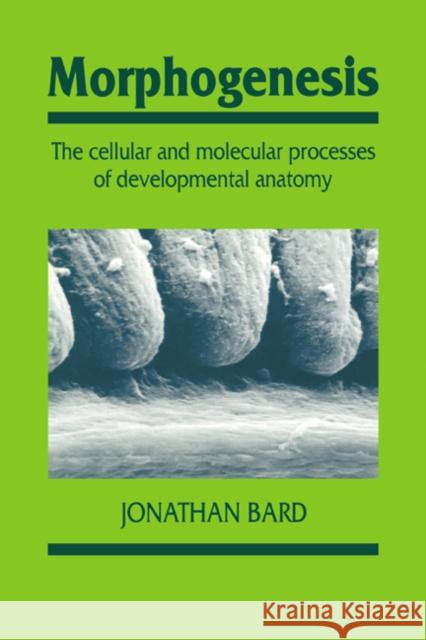 Morphogenesis: The Cellular and Molecular Processes of Developmental Anatomy Bard, Jonathan 9780521436120 Cambridge University Press - książka