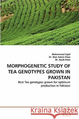 Morphogenetic Study of Tea Genotypes Grown in Pakistan Muhammad Sajid Dr She Dr Ayu 9783639250749 VDM Verlag - książka