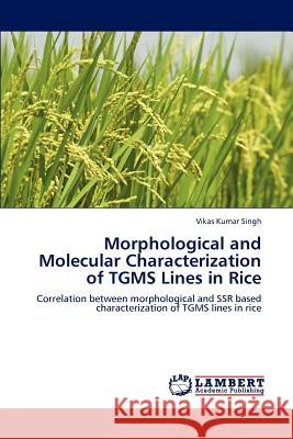 Morphological and Molecular Characterization of TGMS Lines in Rice Singh, Vikas Kumar 9783848406975 LAP Lambert Academic Publishing - książka