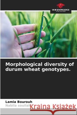 Morphological diversity of durum wheat genotypes. Lamia Bourouh Nabila Souilah 9786200675668 Our Knowledge Publishing - książka
