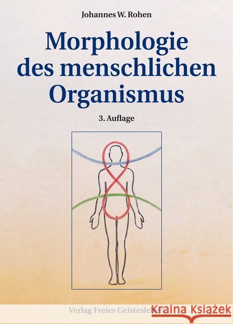 Morphologie des menschlichen Organismus : Eine goetheanistische Gestaltlehre des Menschen Rohen, Johannes W.   9783772519987 Freies Geistesleben - książka