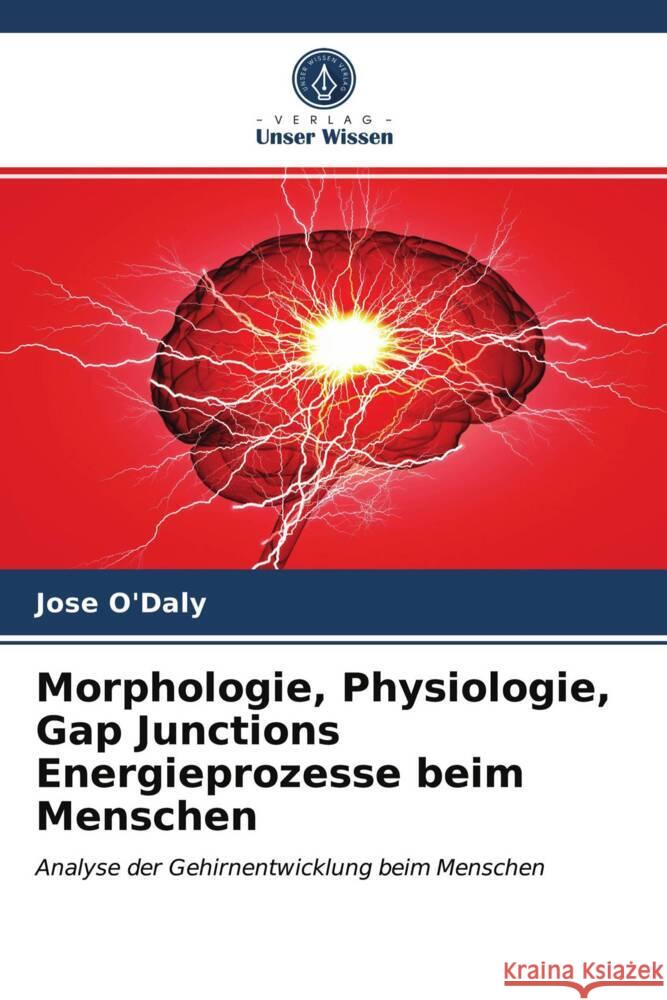 Morphologie, Physiologie, Gap Junctions Energieprozesse beim Menschen O'Daly, Jose 9786203935394 Verlag Unser Wissen - książka