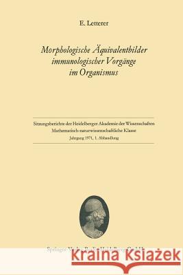 Morphologische Äquivalentbilder Immunologischer Vorgänge Im Organismus Letterer, Erich 9783540053507 Springer - książka