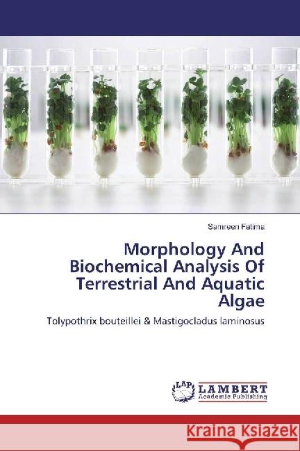 Morphology And Biochemical Analysis Of Terrestrial And Aquatic Algae : Tolypothrix bouteillei & Mastigocladus laminosus Fatima, Samreen 9783330064331 LAP Lambert Academic Publishing - książka