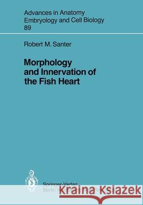 Morphology and Innervation of the Fish Heart Robert M. Santer 9783540139959 Not Avail - książka