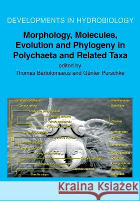 Morphology, Molecules, Evolution and Phylogeny in Polychaeta and Related Taxa Universitat Osnabruck                    Gunter Purschke 9789048167548 Not Avail - książka