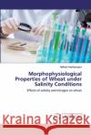 Morphophysiological Properties of Wheat under Salinity Conditions Hashempour, Nafiseh 9786200498649 LAP Lambert Academic Publishing