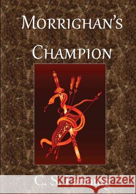 Morrighan's Champion C. S. Fanning 9781300926634 Lulu.com - książka