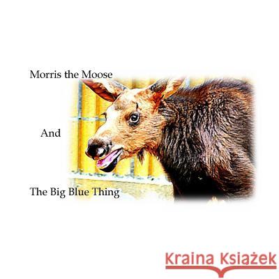 Morris the Moose: The Big Blue Thing Jordan Z. Young Linda Young 9781517595296 Createspace - książka