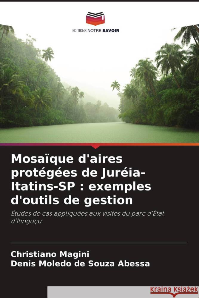 Mosaïque d'aires protégées de Juréia-Itatins-SP : exemples d'outils de gestion Magini, Christiano, de Souza Abessa, Denis Moledo 9786208391133 Editions Notre Savoir - książka