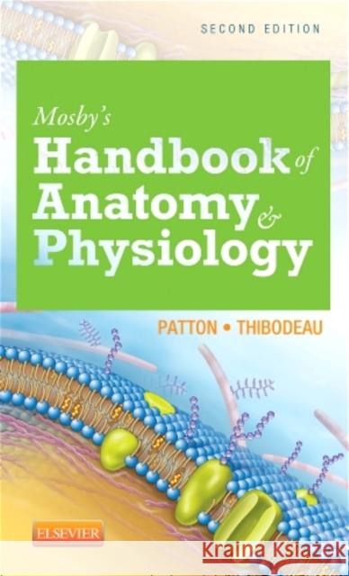 Mosby's Handbook of Anatomy & Physiology Kevin T. Patton Gary A. Thibodeau 9780323226059 Mosby - książka