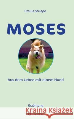 Moses - Aus dem Leben mit einem Hund Striepe, Ursula 9783347310056 Tredition Gmbh - książka