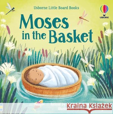Moses in the Basket Russell Punter Barbara Bongini 9781835404836 Usborne Books - książka