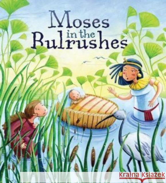 Moses in the Bulrushes Katherine Sully 9781788930901 Authentic Media - książka