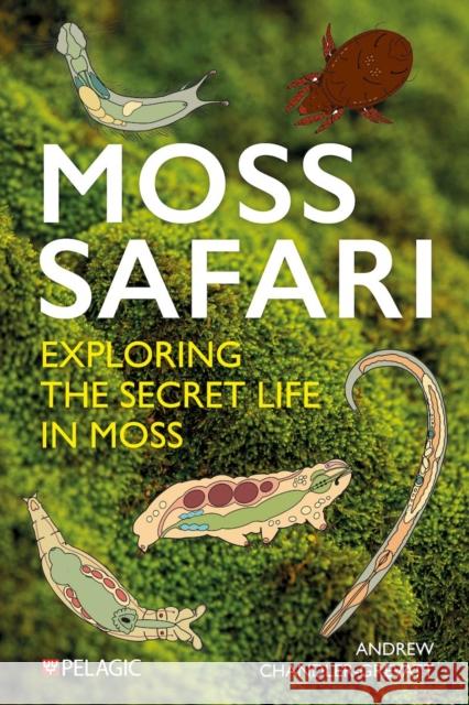 Moss Safari: Exploring the Secret Life in Moss Andrew Chandler-Grevatt 9781784275617 Pelagic Publishing - książka