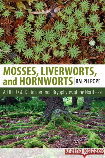 Mosses, Liverworts, and Hornworts: A Field Guide to the Common Bryophytes of the Northeast Pope, Ralph H. 9781501700781 Comstock Publishing - książka