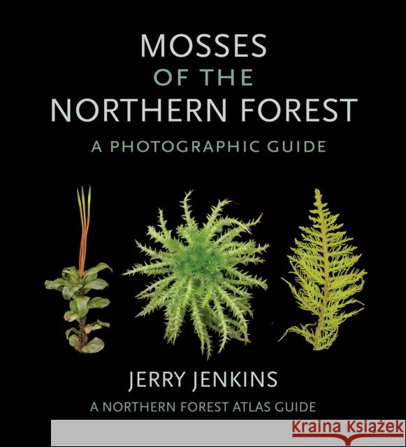 Mosses of the Northern Forest: A Photographic Guide - audiobook Jenkins, Jerry 9781501748615 Comstock Publishing - książka