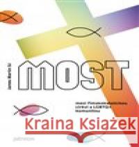 Most mezi římskokatolickou církví a LGBTQ+ komunitou James Martin 9788087900215 PETRINUM s.r.o. - książka