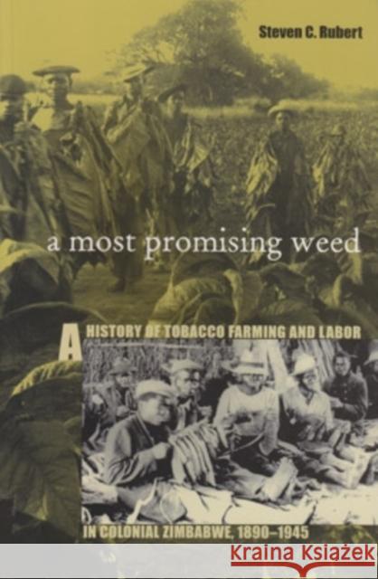Most Promising Weed : A History of Tobacco Farming & Labor in Colonial Zimbabwe, 1890-1945 Steven C. Rubert 9780896802032 Ohio University Press - książka