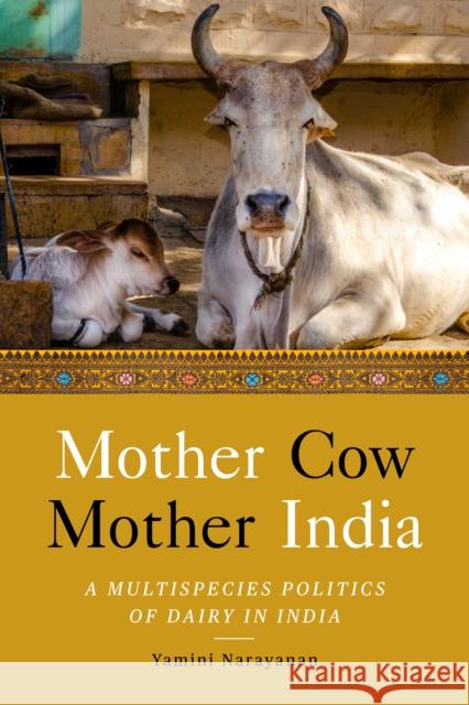 Mother Cow, Mother India: A Multispecies Politics of Dairy in India Yamini Narayanan 9781503634374 Stanford University Press - książka