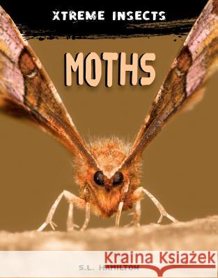 Moths S. L. Hamilton 9781532118203 A&d Xtreme - książka