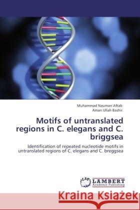 Motifs of untranslated regions in C. elegans and C. briggsea Aftab, Muhammad Nauman, Bashir, Aman Ullah 9783846500385 LAP Lambert Academic Publishing - książka