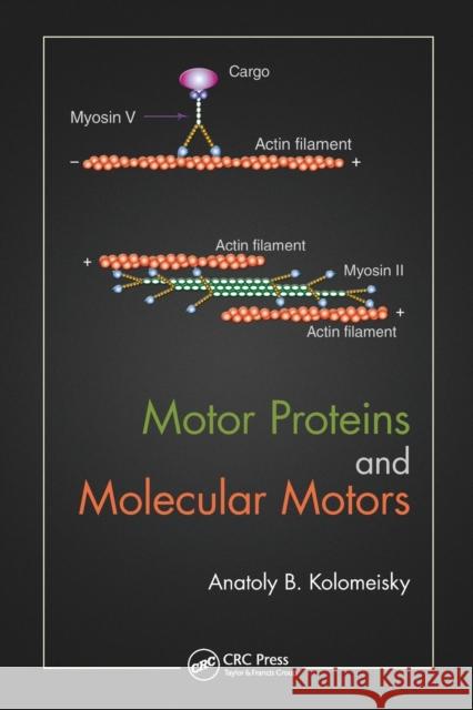 Motor Proteins and Molecular Motors Anatoly B. Kolomeisky 9780367575762 CRC Press - książka