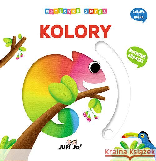 Motoryka smyka. Kolory Nigelli Benedetta 9788381443197 Jedność - książka