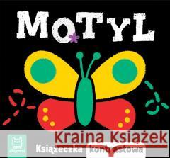 Motyl. Książeczka kontrastowa Agnieszka Bator 9788382137736 Aksjomat - książka