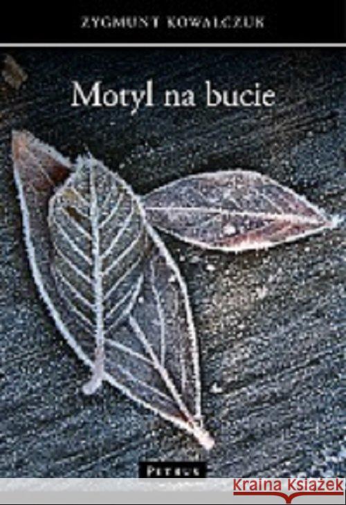 Motyl na bucie Kowalczuk Zygmunt 9788377201237 Petrus - książka