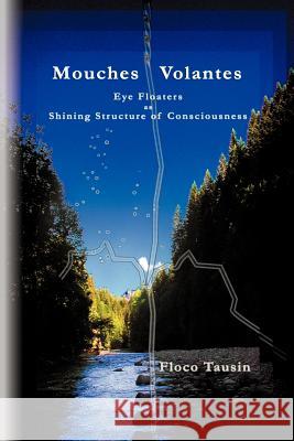 Mouches Volantes - Eye Floaters as Shining Structure of Consciousness Floco Tausin Andreas Zantop 9783033003378 Leuchtstruktur-Verlag - książka