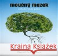 Moučný mozek: Celoživotní plán David Perlmutter 9788074329135 Paseka - książka