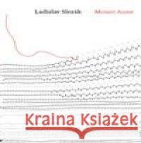 Mount Anne Zdeňka Saletová 9788087908396 Trigon - książka