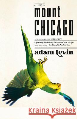 Mount Chicago Adam Levin 9780593466728 Anchor Books - książka