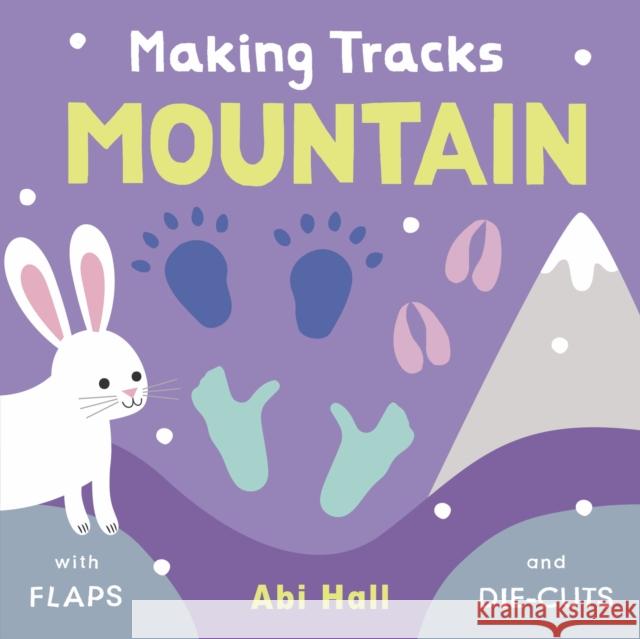 Mountain Abi Hall 9781786284150 Child's Play International Ltd - książka