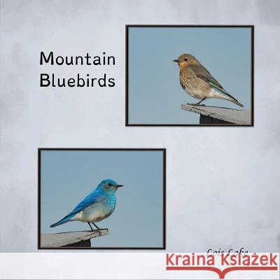 Mountain Bluebirds Lois Lake Lois Lake 9781943650842 Lakeviewfotos - książka