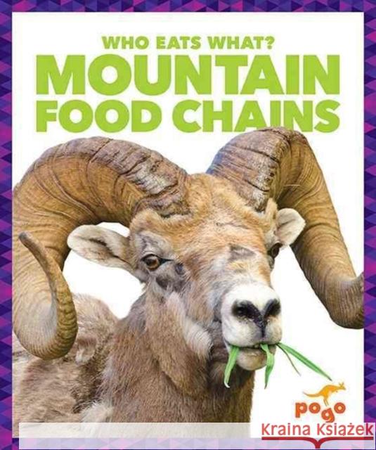 Mountain Food Chains Rebecca Pettiford 9781620315767 Jump! Incorporated - książka